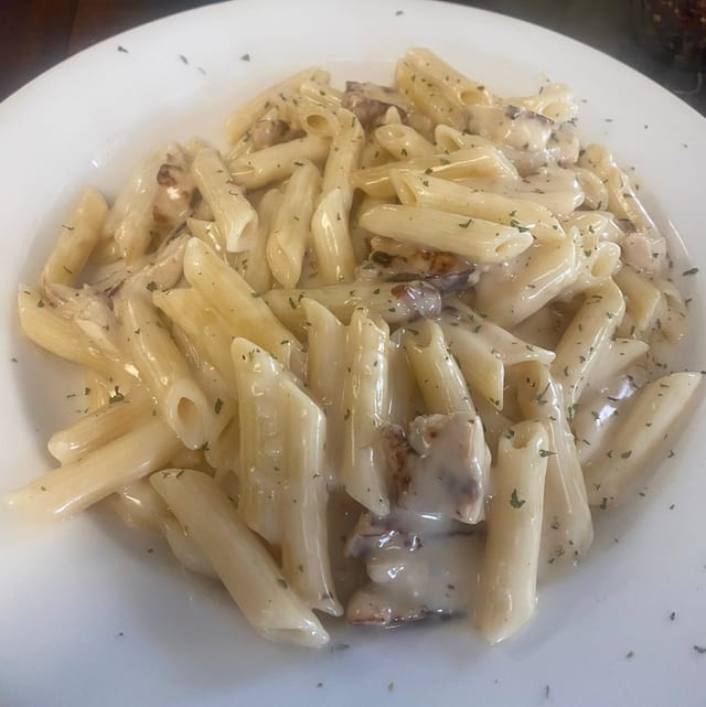 Gluten Free Chicken Alfredo.